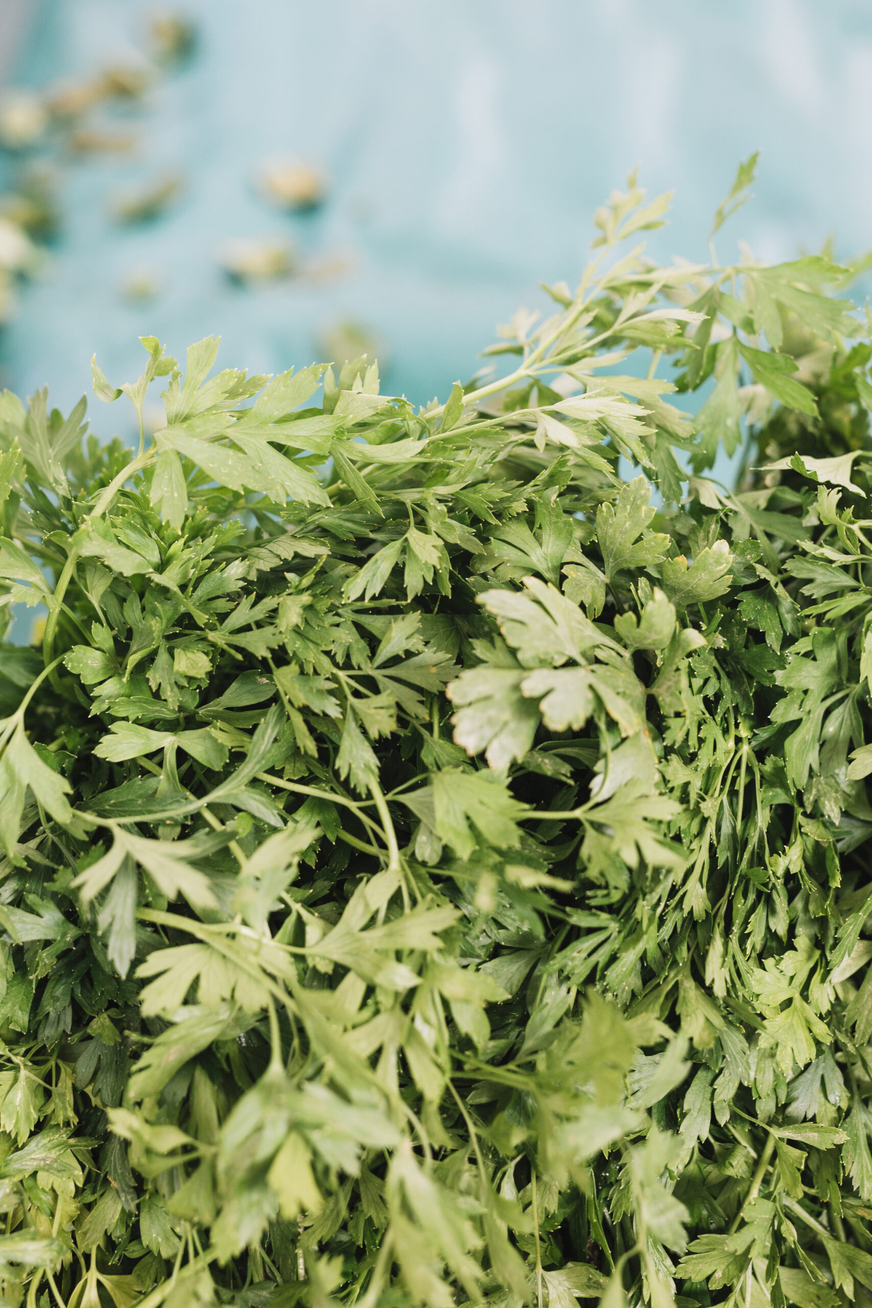 Il coriandolo, antica e intensa spezia